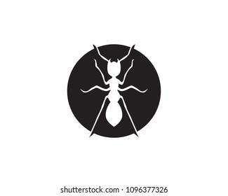 Ant Logo template vector illustration design
