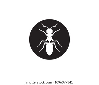 Ant Logo template vector illustration design
