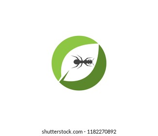 Ant logo template vector illustration design
