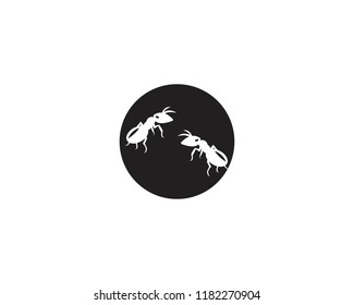 Ant logo template vector illustration design