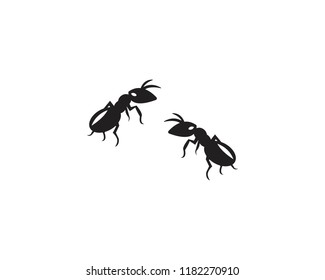 Ant logo template vector illustration design