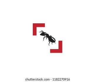 Ant logo template vector illustration design