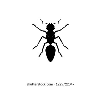 Ant Logo template vector illustration design