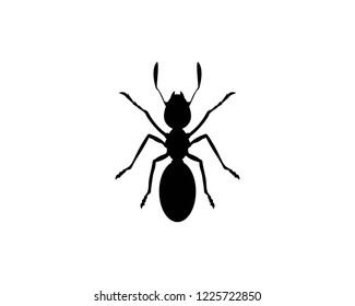 Ant Black Silhouette Top View Icon Stock Vector (Royalty Free) 1409595293