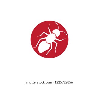 Ant Logo template vector illustration design