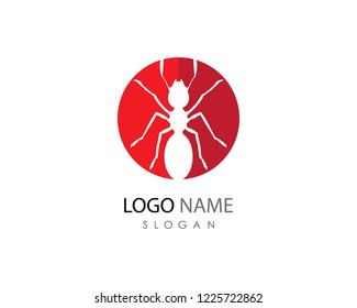 Ant Logo template vector illustration design
