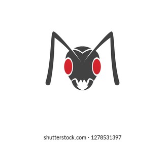 Ant Logo template vector illustration design
