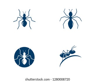 Ant Logo template vector illustration design