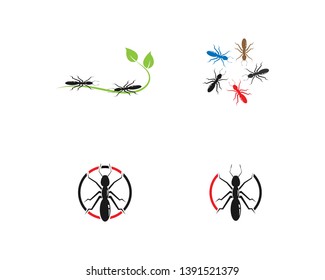 Ant Logo template vector illustration design - Vector