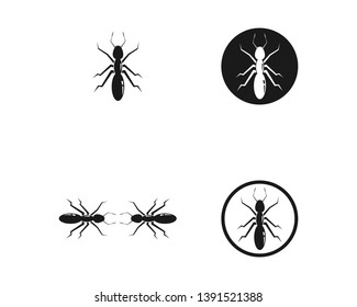 Ant Logo template vector illustration design - Vector