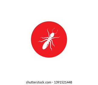 Ant Logo template vector illustration design - Vector