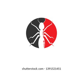 Ant Logo template vector illustration design - Vector
