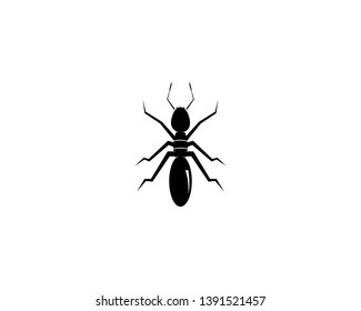 Ant Logo template vector illustration design - Vector