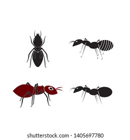 Ant  Logo template vector illustration design - Vector
