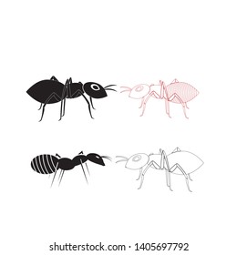 Ant  Logo template vector illustration design - Vector

