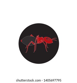 Ant  Logo template vector illustration design - Vector
