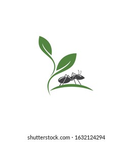 Ant Logo template vector illustration design