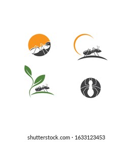 Ant Logo template vector illustration design