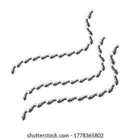 Ant Logo template vector illustration design