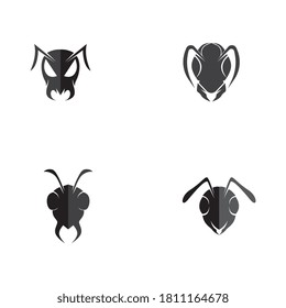 Ant Logo template vector illustration design