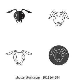 Ant Logo template vector illustration design