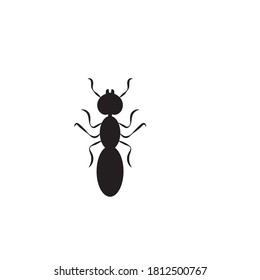 Ant Logo template vector illustration design
