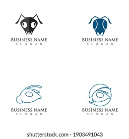 Ant Logo template vector illustration design