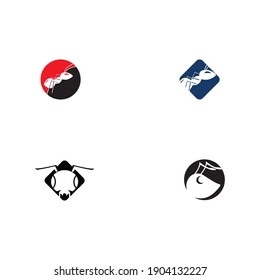 Diseño de ilustración vectorial de la plantilla de logotipo de hormiga