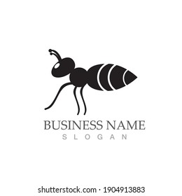 Ant Logo template vector illustration design