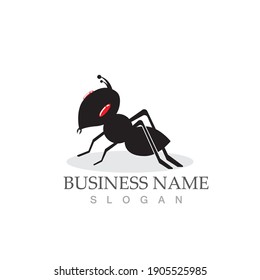 Ant Logo template vector illustration design