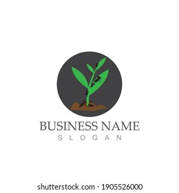 Ant Logo template vector illustration design