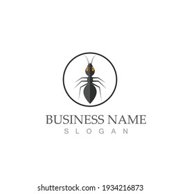Ant Logo template vector illustration design