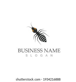 Diseño de ilustración vectorial de la plantilla de logotipo de hormiga