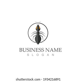 Ant Logo template vector illustration design
