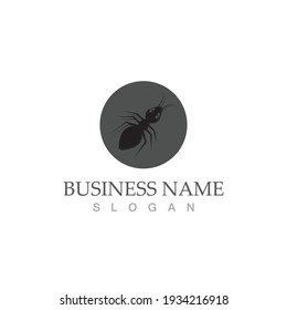 Ant Logo template vector illustration design