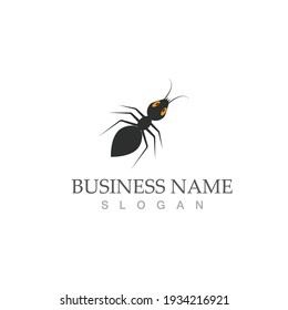 Ant Logo template vector illustration design