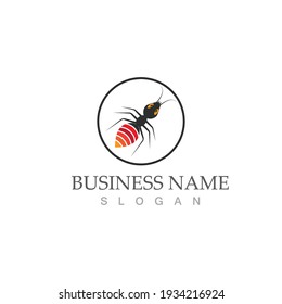 Ant Logo template vector illustration design