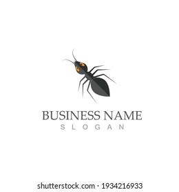Ant Logo template vector illustration design