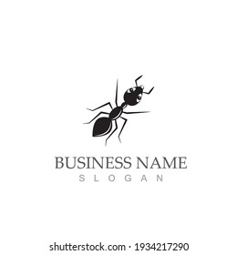 Ant Logo template vector illustration design