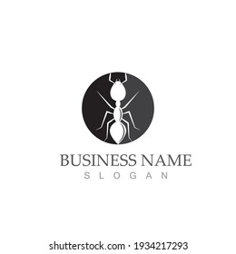 Ant Logo template vector illustration design