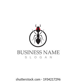Ant Logo template vector illustration design