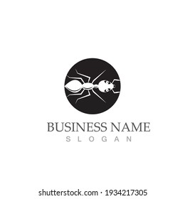 Ant Logo template vector illustration design