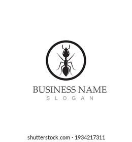 Ant Logo template vector illustration design