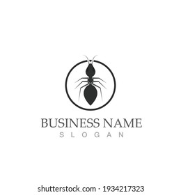 Ant Logo template vector illustration design