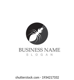Ant Logo template vector illustration design