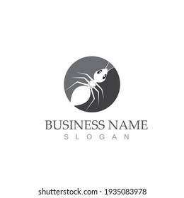 Ant Logo template vector illustration design