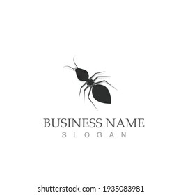 Ant Logo template vector illustration design