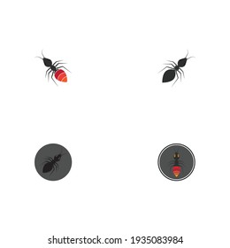 Vorlage für Ants-Logo, Vektorgrafik-Design