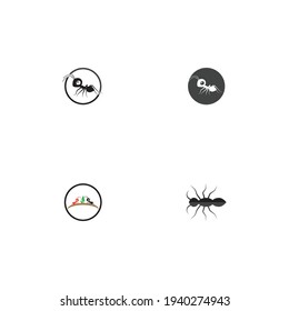 Ant Logo template vector illustration design