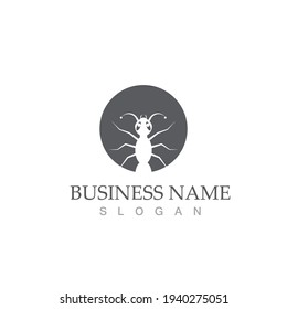 Ant Logo template vector illustration design